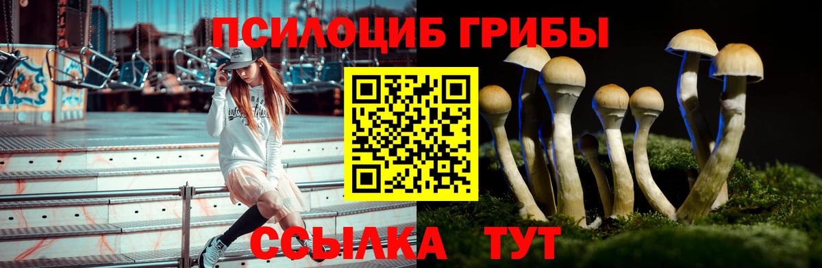 Галлюциногенные грибы GOLDEN TEACHER Великие Луки